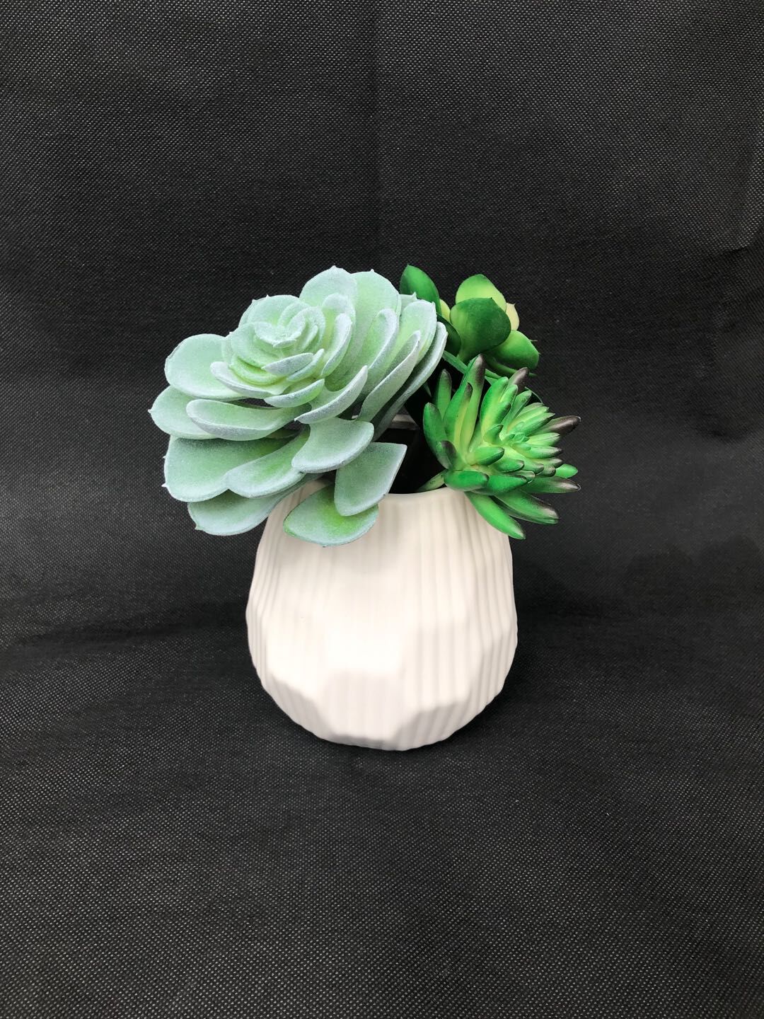 AC4.1-Vase-w-Succulent-2-3.11.20.jpg